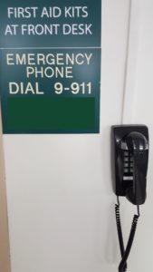 Emergency phone