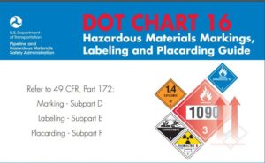 Cover of DOT Chart 16